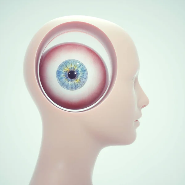 Ludzkie Oko Głowie Koncepcja Wizji Jest Ilustracja Renderowania — Zdjęcie stockowe