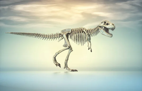 霸王龙的骨架这是一个3D渲染说明 — 图库照片