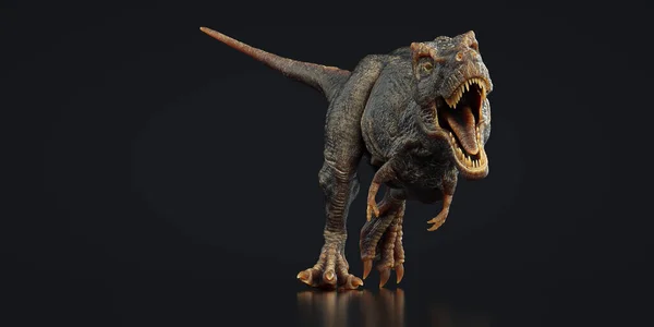 Tyrannosaurus Rex Sur Fond Noir Ceci Est Une Illustration Rendu — Photo