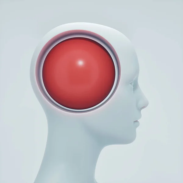 Human Head Big Ideea Intelligence Concept Render Illustration — Stock Photo, Image