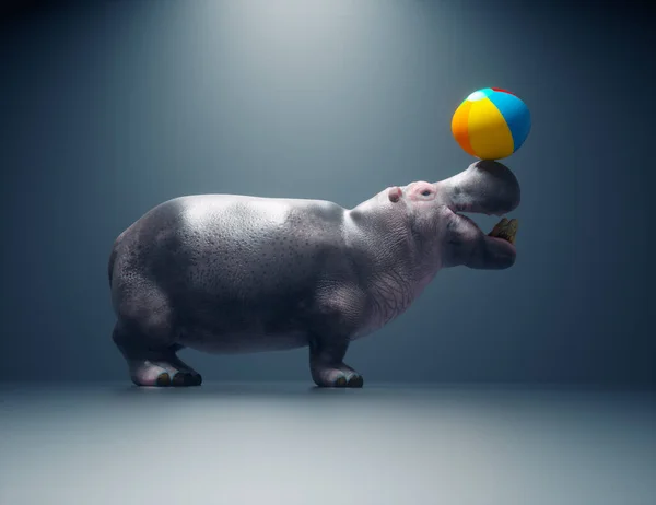 Hipopótamo Joga Com Uma Bola Praia Esta Uma Ilustração Renderização — Fotografia de Stock