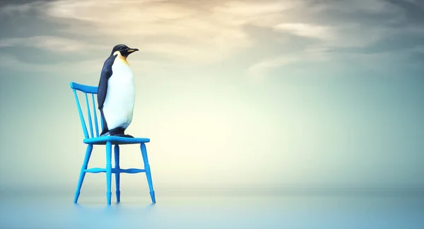 Πιγκουίνος Στην Ξύλινη Καρέκλα Αναζήτηση Και Πρόσληψη Έννοια Αυτή Είναι — Φωτογραφία Αρχείου