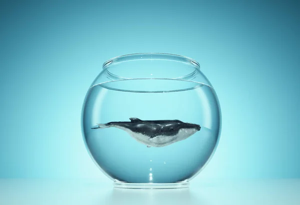 Balena Una Ciotola Pesce Concetto Mentalità Cambiamento Comportamento Questa Illustrazione — Foto Stock