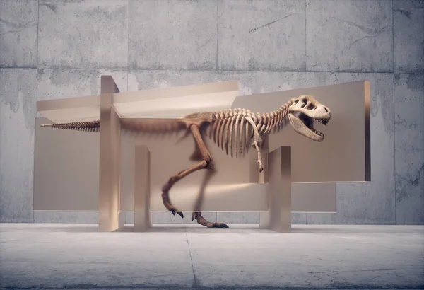 Esqueleto Dinosaurio Visto Través Vidrio Esta Una Ilustración Renderizado — Foto de Stock