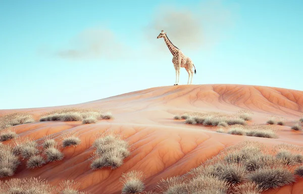 Giraffen Ett Surrealistiskt Landskap Detta Render Illustration — Stockfoto