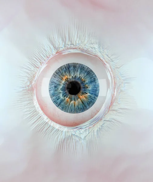 Abstrakcyjne Oko Koncepcja Wizji Jest Ilustracja Renderowania — Zdjęcie stockowe