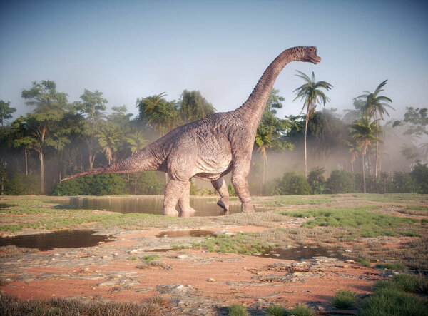 Brachiosaurus dinosaur in nature. This is a 3d render illustration