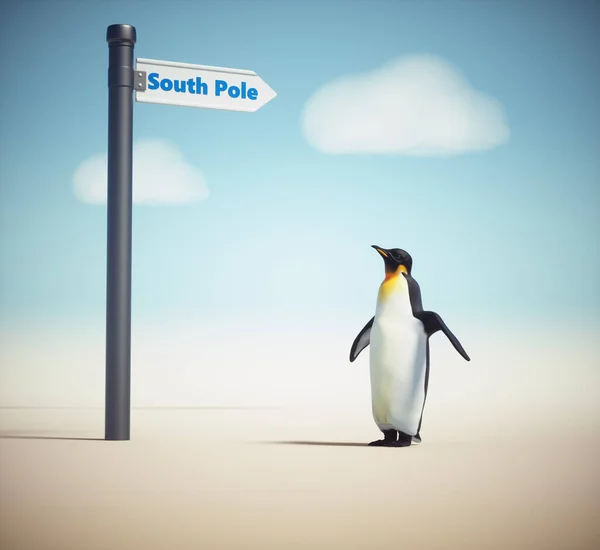 Penguin Och Gatuskylt Med Sydpol Detta Rendering Illustration — Stockfoto