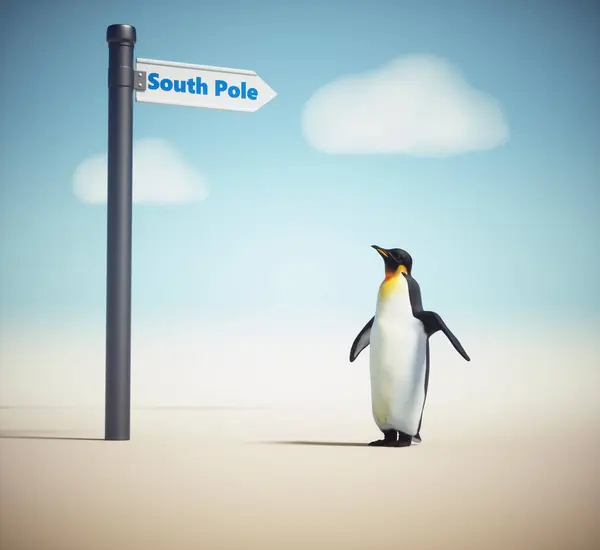 Pinguïn Een Straatbord Met Zuidpool Dit Een Weergave Illustratie Rechtenvrije Stockfoto's