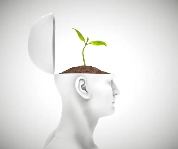 頭から成長する植物 ブレインストーミング アイデア インテリジェンスの概念 これは3Dレンダリングイラストです — ストック写真