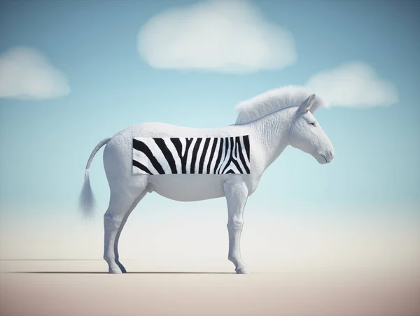 Witte Zebra Met Een Vierkant Van Textuur Zelfontwikkeling Uniek Concept Rechtenvrije Stockafbeeldingen