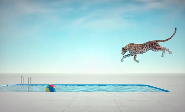 Cheetah Springt Het Zwembad Dit Een Render Illustratie Stockafbeelding