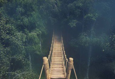 Ahşap bir köprü, zengin yapraklarla çevrili yoğun bir ormanı kapsar. Sabahın erken saatlerindeki sis ağaçları kaplıyor, sakin bir atmosfer yaratıyor, doğa severler için mükemmel. Bu 3 boyutlu bir çizim.