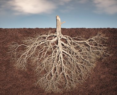 The structure of a tree's root system is prominently displayed, revealing its extensive network below the soil surface under a cloudy atmosphere. This is a 3d render illustration clipart