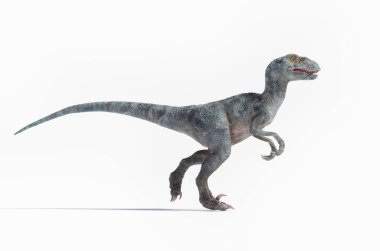 Velociraptor dinozor figürü tarih öncesi yaşamın yaratıcı bir temsilinde beyaz bir arka planda dolaşırken şiddetli bir duruş sergiliyor. Bu bir 3D RENDER BÖLÜMÜ