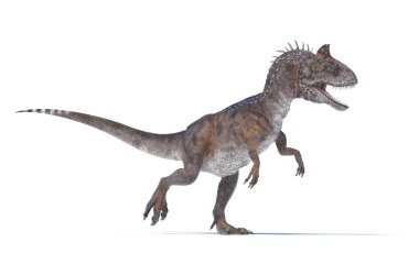 Cryolophosaurus dinozoru, ağzı açık, beyaz arka planda kükreyen iki ayak üzerinde dikiliyor. Bu bir 3D RENDER ILLUSTRATIO