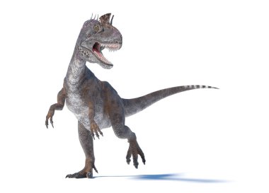 Cryolophosaurus dinozoru, ağzı açık, beyaz arka planda kükreyen iki ayak üzerinde dikiliyor. Bu bir 3D RENDER ILLUSTRATIO