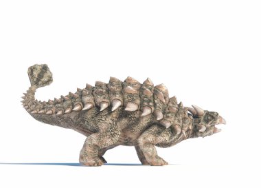 Ankylosaurus dinazor modeli beyaz arka planda sergilenir. Bu bir 3D RENDER BÖLÜMÜ