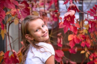 Çekici, üzgün bir sarışının portresi, ilkokul çağında, sonbahar parkında, parlak kırmızı yaprakların arka planında