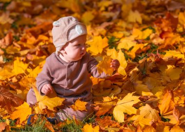 Küçük komik Avrupalı çocuk 10 aylık Sonbahar parkında parlak turuncu yaprakların arasında oturuyor