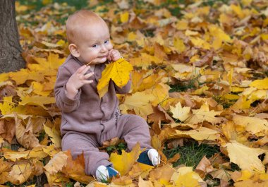Minik sevimli Avrupalı oğlan 10 aylık renkli bir sonbahar parkında parlak turuncu yaprakların arasında oturuyor.