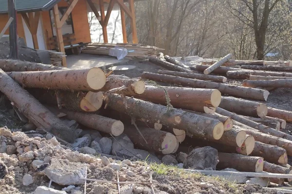 Wooden logs in a pile
