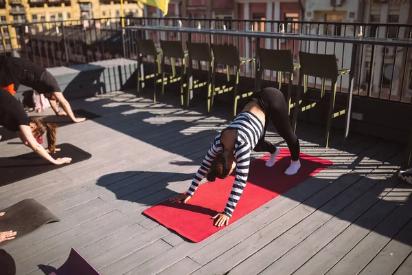 Yogi Woman Diverse Group Young Sporty People Practicing Yoga Female —  Fotos de Stock