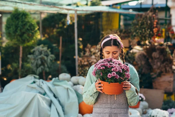 Mujer Atractiva Sosteniendo Flor Decorativa Maceta Mercado Concepto Jardín Decoración — Foto de Stock