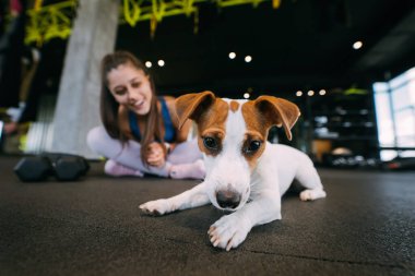 Beden eğitiminde, sahibi olan kadınla birlikte küçük sevimli Jack Russell köpeği. Sağlıklı bir yaşam tarzı.