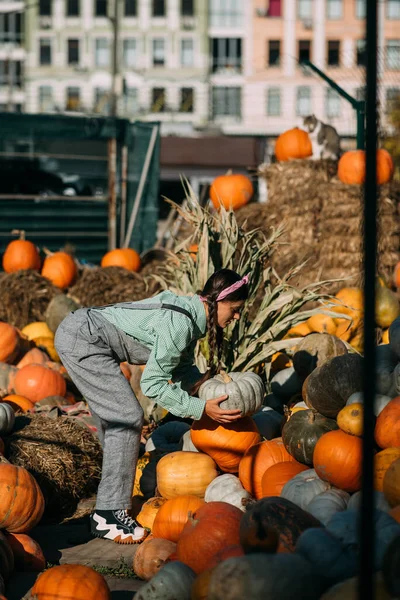 Happy Farmer Woman Denim Jumpsuit Chooses Ripe Pumpkin Autumn Harvest — Stock Photo, Image