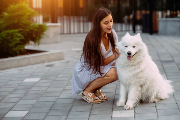 Молодая Женщина Обнимает Большую Собаку Закате Летом — стоковое фото