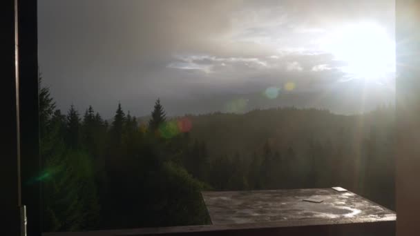 Niebla Sobre Bosque Coníferas Paisaje Brumoso Después Una Lluvia Verano — Vídeos de Stock