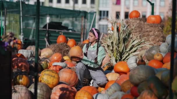 快乐的农妇穿着斜纹棉布连衣裙 选择成熟的南瓜 秋天收获 农业的概念 — 图库视频影像