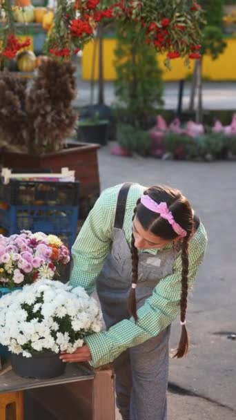 Mujer Atractiva Vende Flores Decorativas Una Maceta Mercado Jardín Concepto — Vídeo de stock