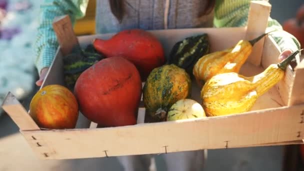 农妇手里拿着一个装有南瓜的木盒 市场的概念 — 图库视频影像