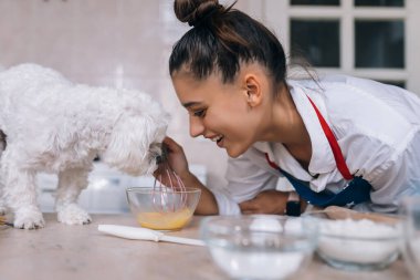 Mutfakta gülümseyen genç bir kadın ve masadaki tatlı beyaz Maltese köpeği yemeği kokluyor.