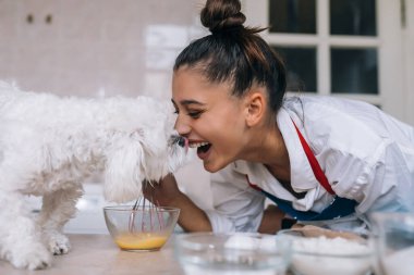 Mutfakta gülümseyen genç bir kadın ve masadaki tatlı beyaz Maltese köpeği yemeği kokluyor.