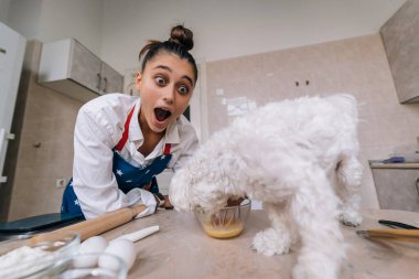 Mutfakta gülümseyen genç bir kadın ve masadaki tatlı beyaz Maltese köpeği yemeği kokluyor.