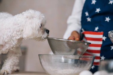 Mutfakta gülümseyen genç bir kadın ve masadaki tatlı beyaz Maltese köpeği yemeği kokluyor.