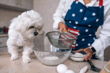 Mutfaktaki genç kadın, bir köpekle unu eşeliyor.