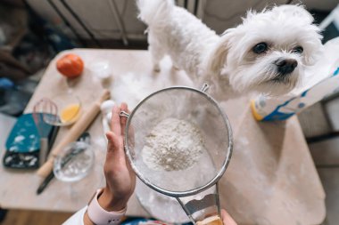 Mutfaktaki genç kadın, bir köpekle unu eşeliyor.