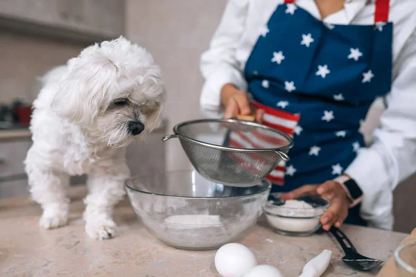 Молодая Женщина Кухне Просеивает Муку Вместе Собакой — стоковое фото