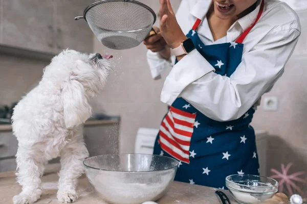 Молодая Женщина Кухне Просеивает Муку Вместе Собакой — стоковое фото