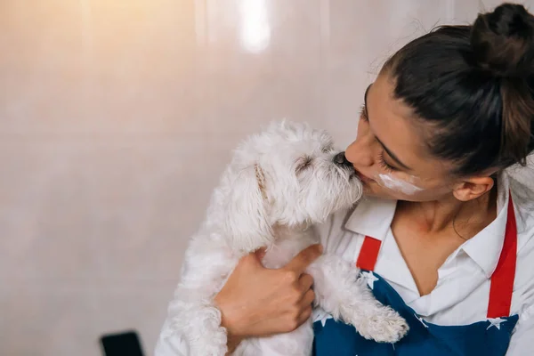 Uśmiechnięta Młoda Kobieta Kuchni Całuje Ładny Biały Maltański Pies — Zdjęcie stockowe