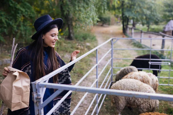 一个年轻漂亮的女人喂羊 — 图库照片