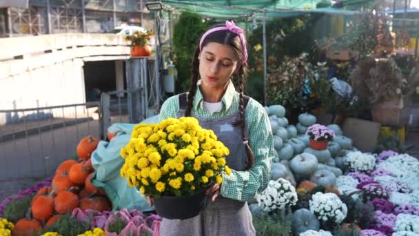 Attraktiv Kvinna Säljer Dekorativa Blommor Blomkruka Marknaden Trädgård Och Inredningskoncept — Stockvideo