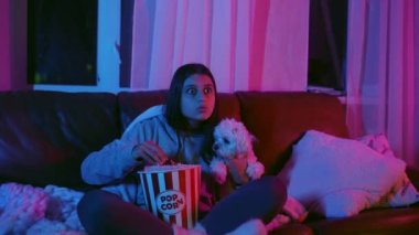 Genç kız Malta köpeğiyle eğlenceli bir öğleden sonra geçiriyor. Kanepede oturup patlamış mısır yemek ve eğlenmek..