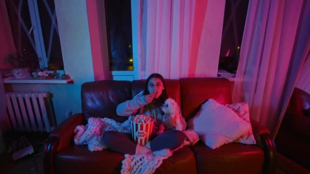 マルタ犬と楽しい午後を過ごしている若い女の子 ソファの上に座ってポップコーンを食べて楽しんで — ストック動画