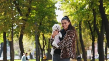Genç bir kadın sonbahar parkında Maltese köpeğini tutuyor. Küçük evcil hayvana bakıyorum..