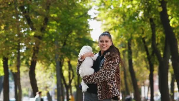 若い女性は秋の公園でマルタ犬を飼っている ペットの世話をする — ストック動画